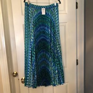 Stunning Chico’s Skirt